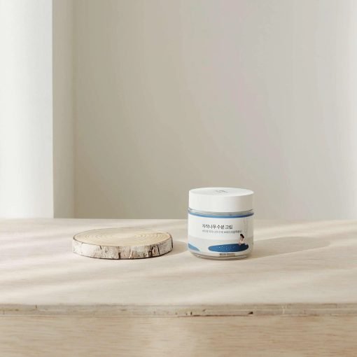 Round Lab Birch Juice Moisturizing Cream - Image 4